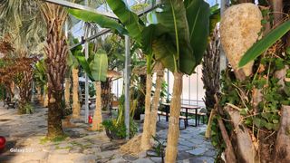 이순철님의 팜모닝에게 바라는 것은? · 참여글 작성글 사진