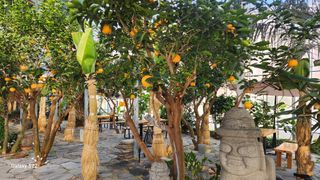 이순철님의 팜모닝에게 바라는 것은? · 참여글 작성글 사진