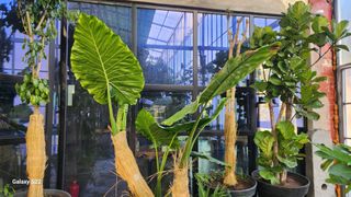 이순철님의 팜모닝에게 바라는 것은? · 참여글 작성글 사진