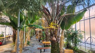 이순철님의 팜모닝에게 바라는 것은? · 참여글 작성글 사진