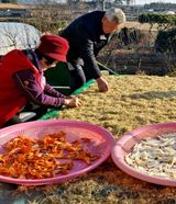 팜모닝 · 게시글 이미지