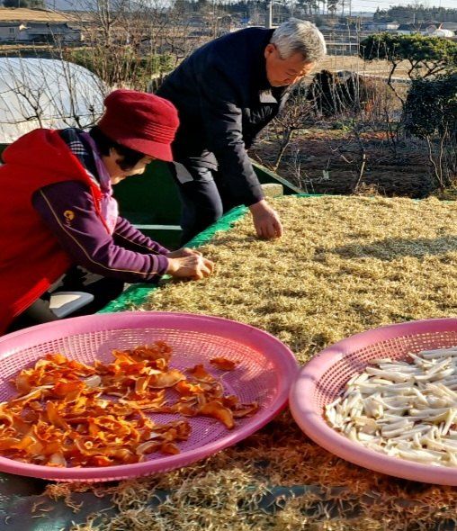 장연송님의 장터 판매 상품 [엿기름 1kg] 첨부 사진