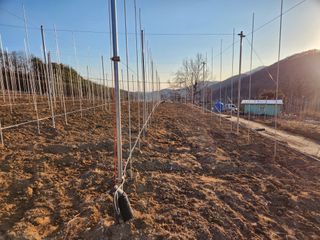 호계농원님의 팜모닝에게 바라는 것은? · 참여글 작성글 사진