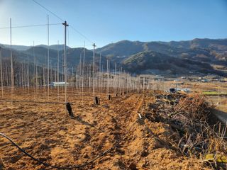 호계농원님의 팜모닝에게 바라는 것은? · 참여글 작성글 사진