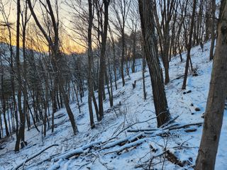 산약초농원님의 자유주제 · 자유게시판 작성글 사진