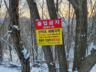 산약초농원님의 자유주제 · 자유게시판 작성글 사진