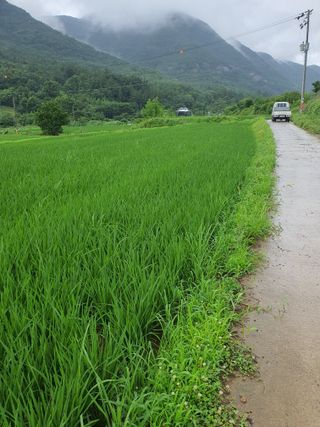 김영복님의 팜모닝에게 바라는 것은? · 참여글 작성글 사진