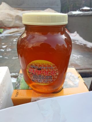 피로할때 천년꿀차,님의 농사, 무엇이든 물어보세요! · 참여글 작성글 사진