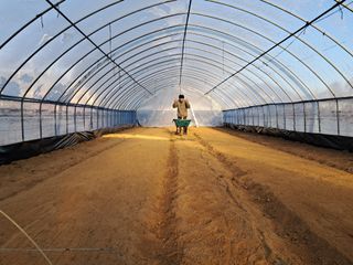 안성농부님의 자유주제 · 자유게시판 작성글 사진