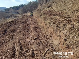 동우농장(김대욱)님의 복숭아 · 자유게시판 작성글 사진