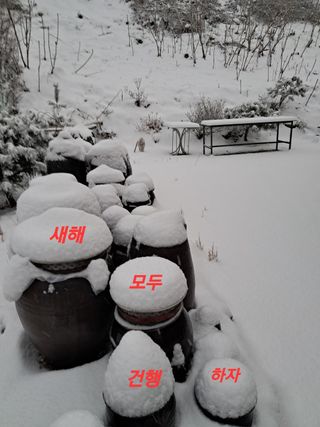 인생은 소풍처럼님의 팜모닝에게 바라는 것은? · 참여글 작성글 사진