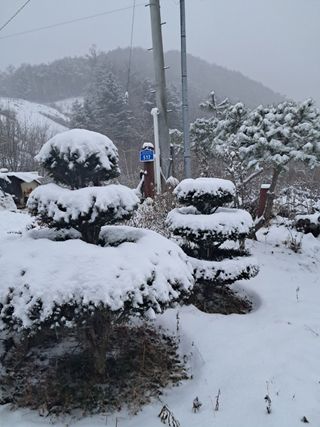 인생은 소풍처럼님의 팜모닝에게 바라는 것은? · 참여글 작성글 사진