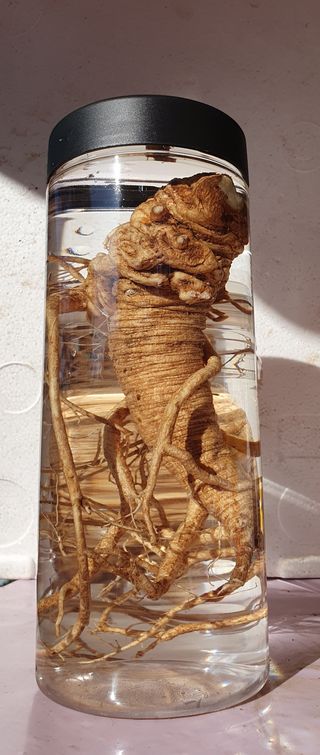 인생은 소풍처럼님의 팜모닝에게 바라는 것은? · 참여글 작성글 사진