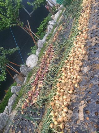 이공우님의 비활동 회원 알림 · 참여글 작성글 사진