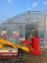 팜모닝 고추·품종•종자 게시글 이미지