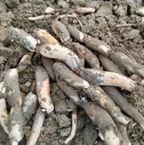 팜모닝 팜모닝에게 바라는 것은?·참여글 게시글 이미지