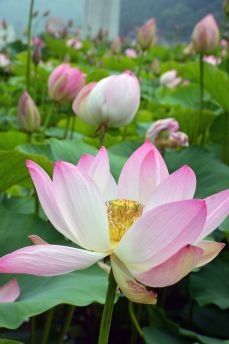 운길산님의 팜모닝에게 바라는 것은? · 참여글 작성글 사진