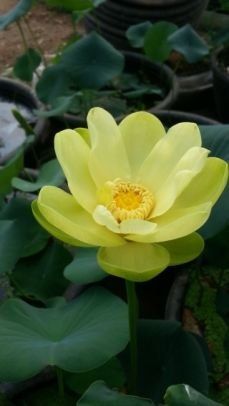 운길산님의 팜모닝에게 바라는 것은? · 참여글 작성글 사진