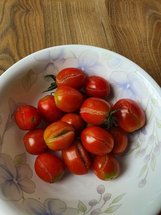 엄기덕님의 팜모닝 · 출석 작성글 사진