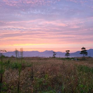 오케바리(옥경종)님의 팜모닝에게 바라는 것은? · 참여글 작성글 사진