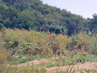 κΉμ’
λλμ μμ±κΈ μ¬μ§