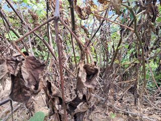 κΉμ’
λλμ μμ±κΈ μ¬μ§