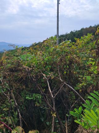 κΉμ’
λλμ μμ±κΈ μ¬μ§