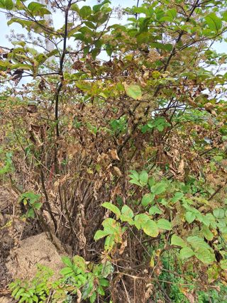 κΉμ’
λλμ μμ±κΈ μ¬μ§