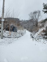 팜모닝 비활동 회원 알림·참여글 게시글 이미지