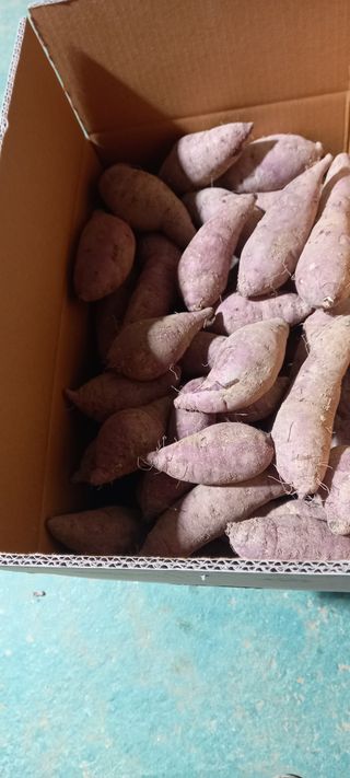 강성분님의 팜모닝에게 바라는 것은? · 참여글 작성글 사진