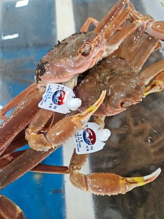 노가네수산님의 우리동네 · 동네정보 작성글 사진