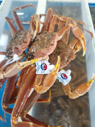 노가네수산님의 우리동네 · 동네정보 작성글 사진