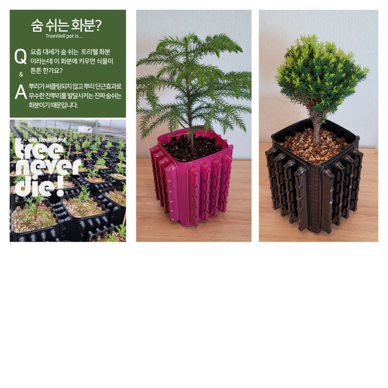 장터 상품 [트리웰화분 2.5리터 250개] 썸네일