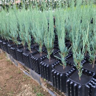 이선미님의 작성글 사진