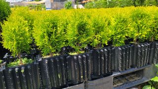 이선미님의 작성글 사진