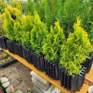 이선미님의 작성글 사진