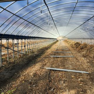 유원준님의 고추 · 일상 작성글 사진