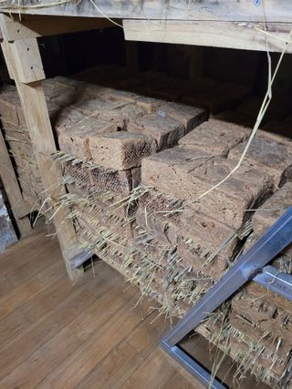 최주섭님의 팜모닝에게 바라는 것은? · 참여글 작성글 사진