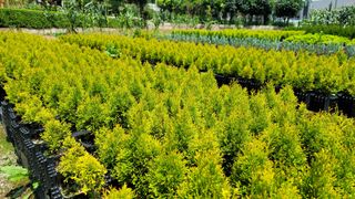 이선미님의 팜모닝에게 바라는 것은? · 참여글 작성글 사진