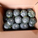 팜모닝 비활동 회원 알림·참여글 게시글 이미지