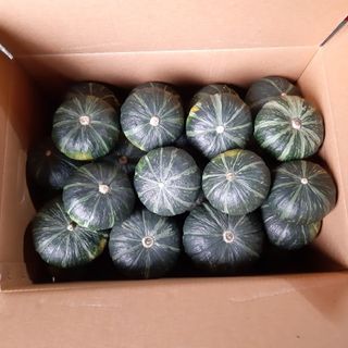 신동섭님의 비활동 회원 알림 · 참여글 작성글 사진