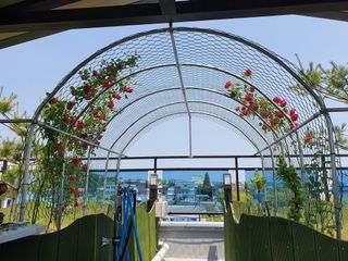 들깨9056님의 비활동 회원 알림 · 참여글 작성글 사진