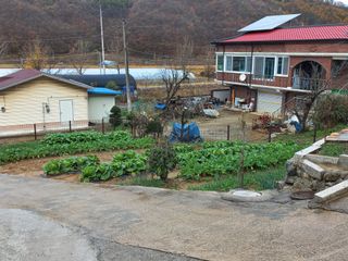 사과7907님의 비활동 회원 알림 · 참여글 작성글 사진
