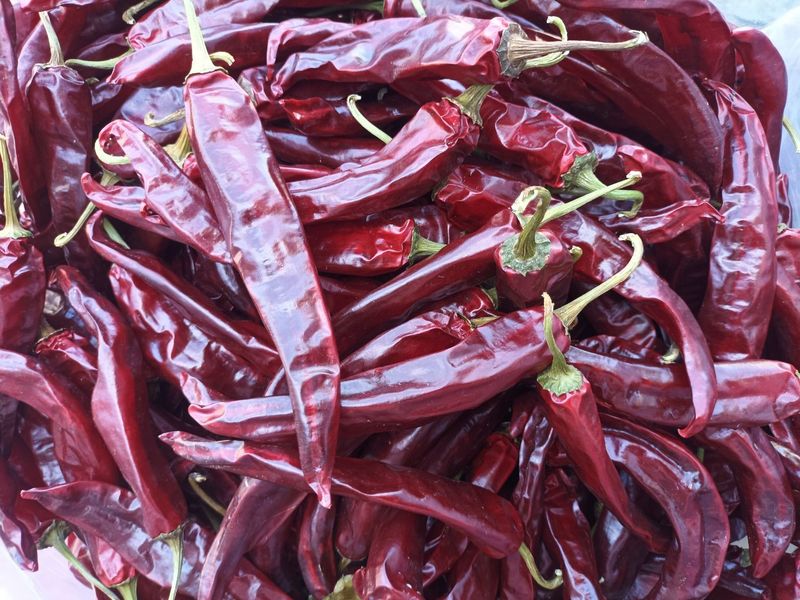 다나농원 이진우님의 장터 판매 상품 [직접 농사지은 청송산 두물 세척  햇 건고추 /청결 햇 고춧가루 600g(1근), 3kg(5근)] 첨부 사진