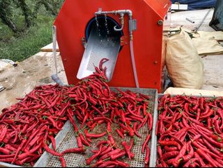 다나농원 이진우님의 작성글 사진