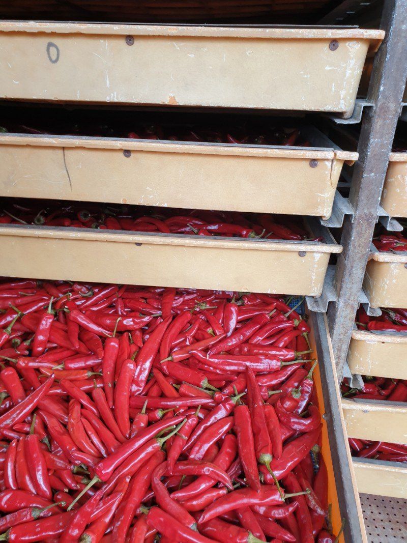 다나농원 이진우님의 장터 판매 상품 [직접 농사지은 청송산 두물 세척  햇 건고추 /청결 햇 고춧가루 600g(1근), 3kg(5근)] 첨부 사진