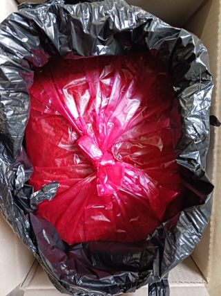 다나농원 이진우님의 작성글 사진