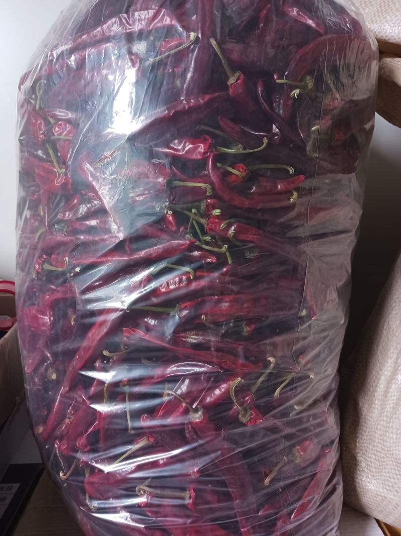 다나농원 이진우님의 장터 판매 상품 [직접 농사지은 청송산 두물 세척  햇 건고추 /청결 햇 고춧가루 600g(1근), 3kg(5근)] 첨부 사진