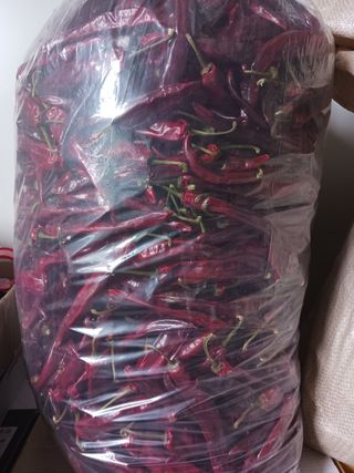 다나농원 이진우님의 작성글 사진