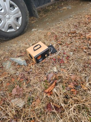 단감청년님의 감 · 자유게시판 작성글 사진